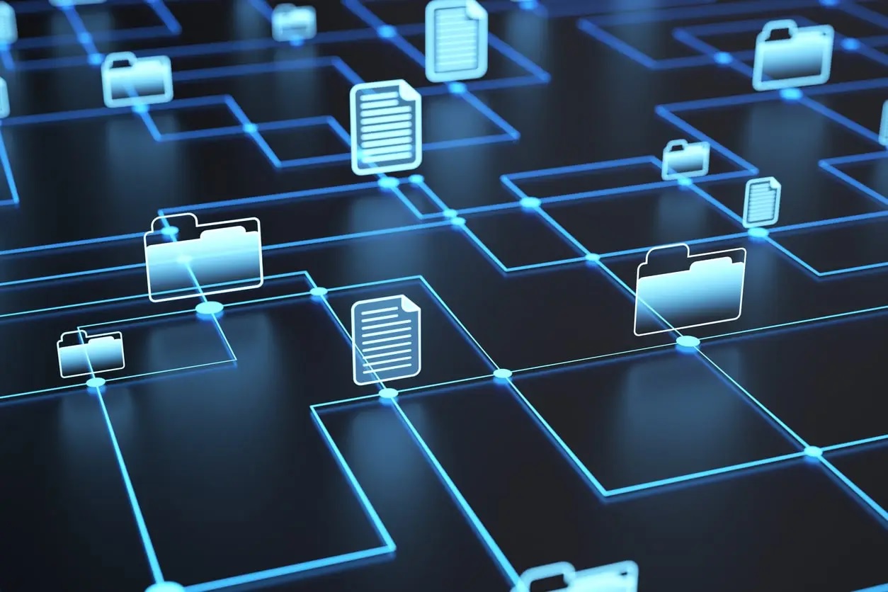 Digitization Process